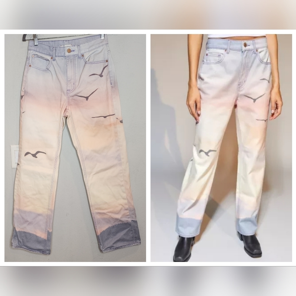 BDG Scenic‎ Sunset Bird Cowboy Jeans rigid women's size 27